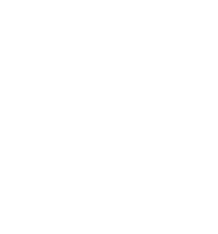 IRT logo